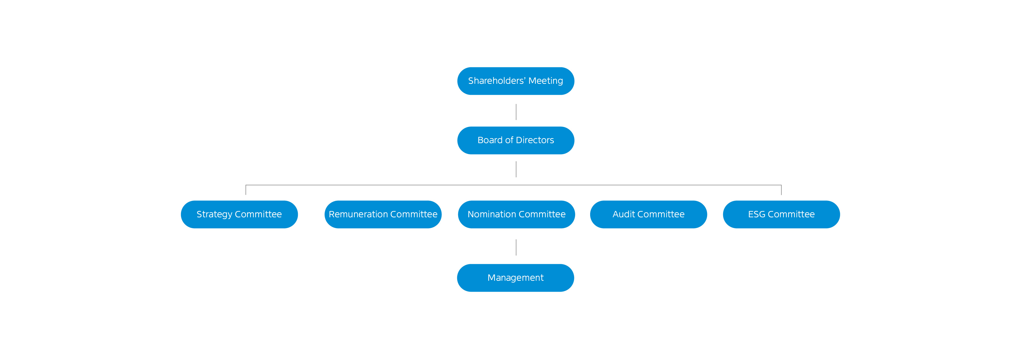 公司治理架构pc端en