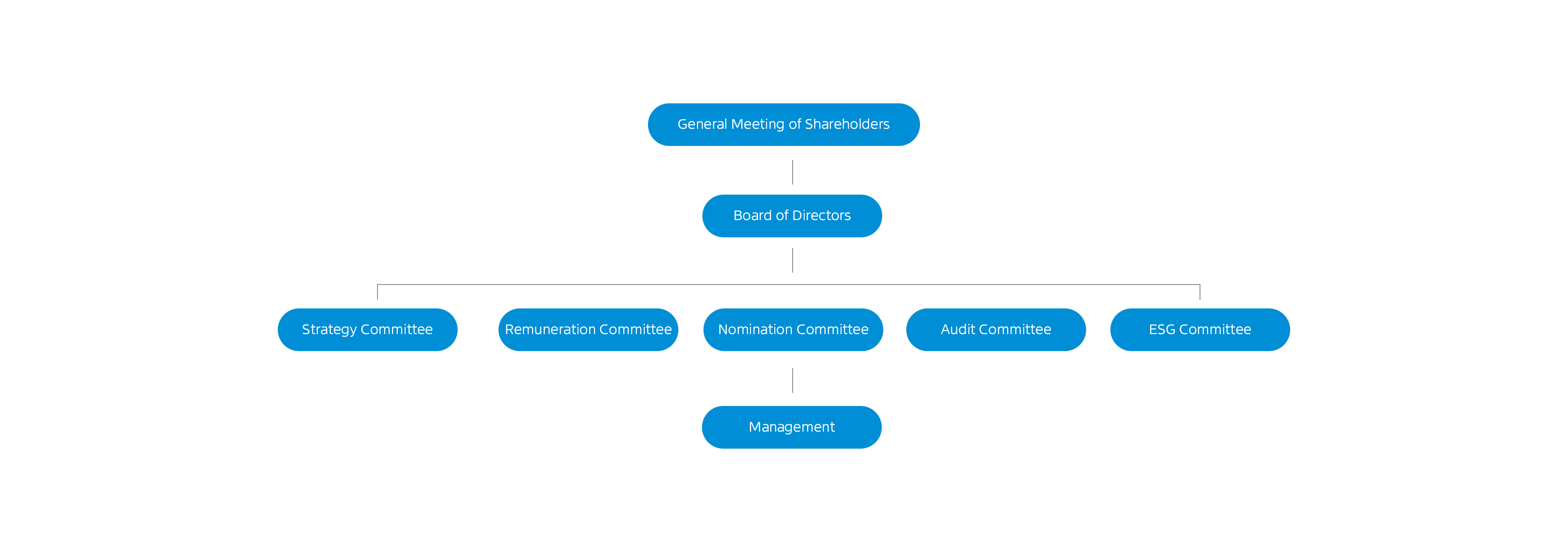 投资者关系-公司治理架构pc端-英文-