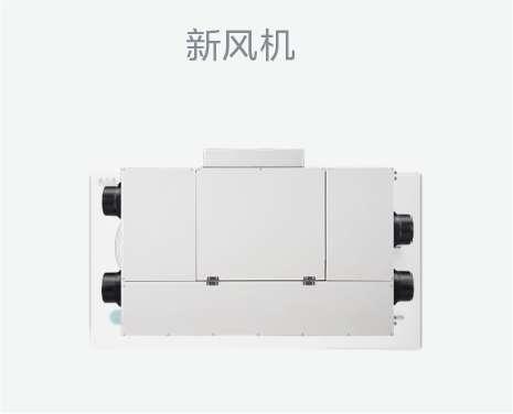 酷风一级4